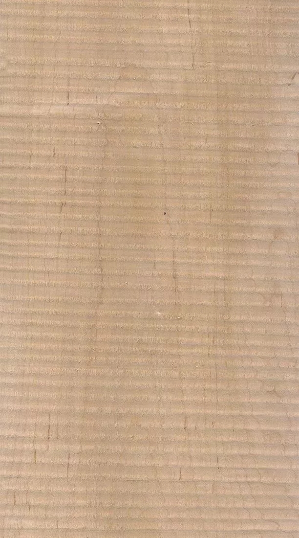 樺木的芯材顏色是淡紅棕色，邊材顏色近白色，板面寬且帶影的木皮市場價格良好，紋理通常是直紋和波浪紋，質地均勻，板面有很好的自然光澤度。.webp.jpg