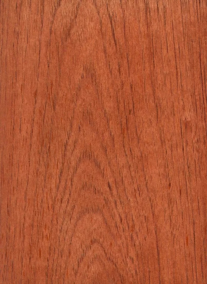 西班牙香杉的芯材為均勻的淺粉色到紅棕色，顏色一般會隨著樹木的增長而加深，通常，木材都自帶樹脂和有油脂，木材板面看起來比較普通。紋理通常直，有局部交錯，材質均勻，天然光澤度一般。.webp.jpg